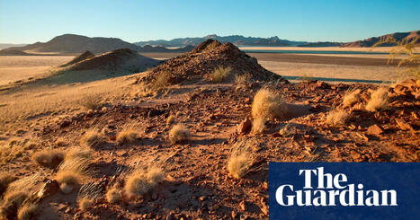 ‘People think they’ll smell but they don’t’: inside the Namibian homes built from mushrooms | Namibia | The Guardian | consumer psychology | Scoop.it