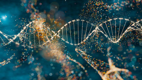 Todas las células de tu cuerpo tienen el mismo genoma... casi siempre | Help and Support everybody around the world | Scoop.it