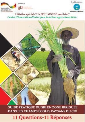 MALI: Guide pratique pour le système de Riziculture Intensif (SRI) | AgroForma | SRI Global News: February - April 2024 **sririce -- System of Rice Intensification | Scoop.it