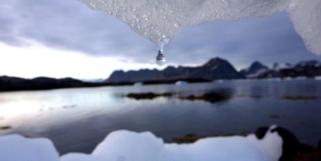 Coronavirus : la COP26 pour le climat repoussée à fin 2021 | Développement Durable, RSE et Energies | Scoop.it