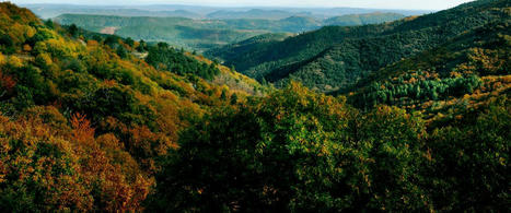 Cévenols et acteurs de la biodiversité depuis trente ans | Cévennes Infos Tourisme | Scoop.it