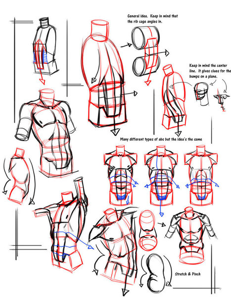 Simple form break down abs | Drawing References and Resources | Scoop.it