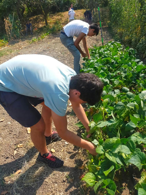 Educazione ambientale e divertimento: l’estate con il centro estivo e il campo di volontariato – Legambiente Parma | Medici per l'ambiente - A cura di ISDE Modena in collaborazione con "Marketing sociale". Newsletter N°34 | Scoop.it