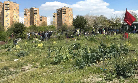 L’écologie populaire face à l’urbanisme olympique | L'actualité de la politique de la ville | Scoop.it