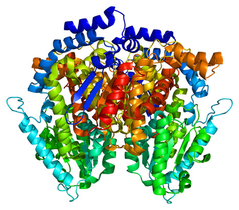 Re-engineering E. coli for Interferon Production | iBB | Scoop.it