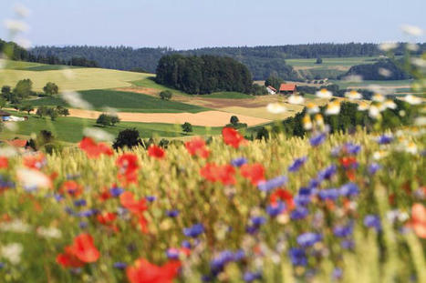 Le biodiversité et le climat sont un seul et même combat, alertent le GIEC et l’IPBES dans une collaboration inédite | Vers la transition des territoires ! | Scoop.it