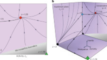 Beehive scale-free emergent dynamics | Papers | Scoop.it