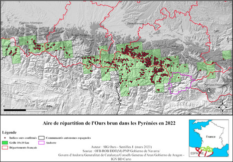 Projet d’arrêté relatif à la mise en place de mesures d’effarouchement de l’ours brun dans les Pyrénées pour prévenir les dommages aux troupeaux | Vallées d'Aure & Louron - Pyrénées | Scoop.it