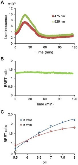 pHlash: A New Genetically Encoded and Ratiometric Luminescence Sensor of Intracellular pH - PLoS One | Plant Cell Biology and Microscopy | Scoop.it