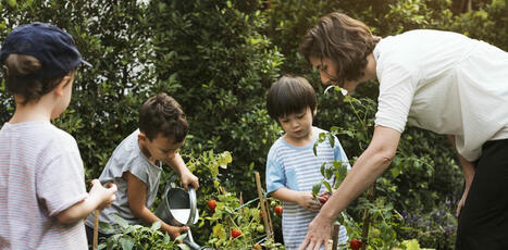 Potager, floral ou aromatique, le jardin scolaire gagne du terrain | The conversation | La SELECTION du Web | CAUE des Vosges - www.caue88.com | Scoop.it