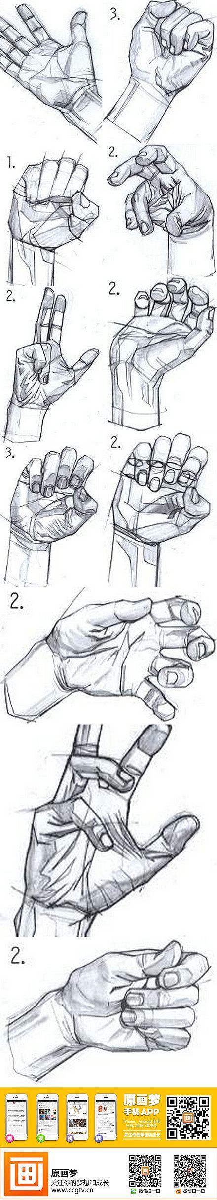 Hand Drawing Reference Guide | Drawing References and Resources | Scoop.it