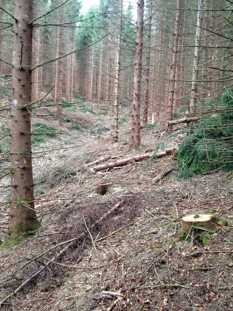 Aménagement d'une piste VTT depuis la hourquette d'Ancizan le 15 novembre | Facebook | Vallées d'Aure & Louron - Pyrénées | Scoop.it