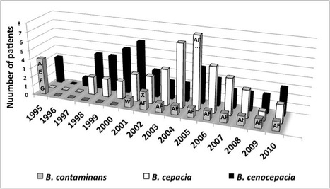 Burkholderia Contaminans at a Cystic Fibrosis Center | iBB | Scoop.it