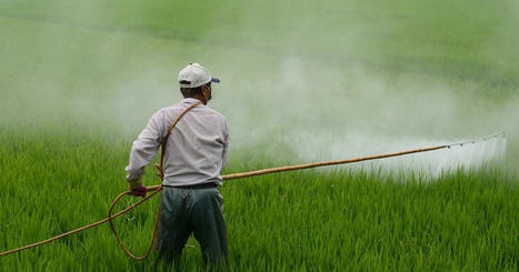 Les pesticides, une menace pour la biodiversité terrestre | Paysage - Agriculture | Scoop.it