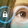 Iris Scans and Biometrics