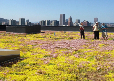 What Cities Are Doing To Become Water Smart | EarthTechling | Cities of the World | Scoop.it