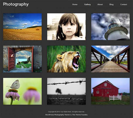 Photography Premium WordPress Theme : The Theme Foundry  | Premium Themes Club | Wordpress templates | Scoop.it