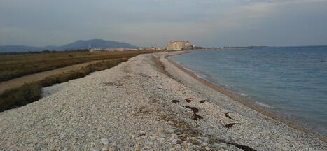 "Toponímia de la costa de restinga entre Alcanar i Almenara" | e-onomastica | Scoop.it