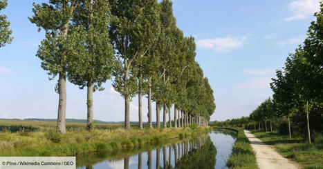 Circuit à vélo en Île-de-France : quitter Paris par l’Ourcq et y revenir par la Marne | Ecotourisme | Scoop.it