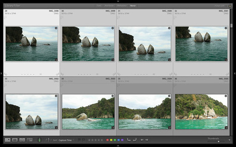 How to Find Your Best Images With Lightroom 5’s Compare View - Digital Photography School | Photo Editing Software and Applications | Scoop.it