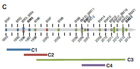 Evolution of Burkholderia multivorans During Chronic Lung Infections | iBB | Scoop.it