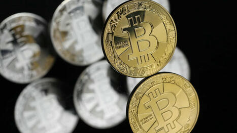 Castres : un homme et son père condamnés pour avoir monté une escroquerie au bitcoin à plus de 200 000 euros ... | Veille #Cybersécurité #Clusir-Bretagne | Scoop.it