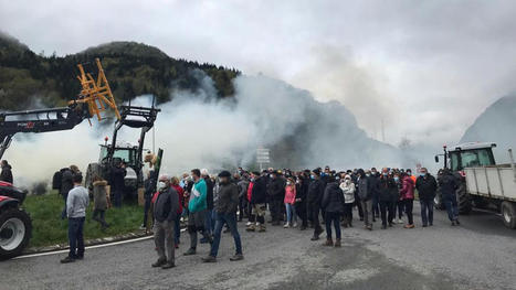 Attaque d'ours dans les Pyrénées : les éleveurs ont manifesté à Arreau | Vallées d'Aure & Louron - Pyrénées | Scoop.it