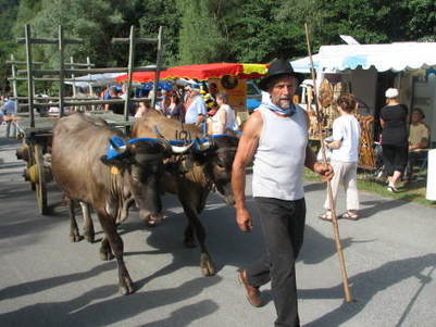 27ème Foire aux Traditions Pyrénéennes au lac de Génos-Loudenvielle le 19 août | Vallées d'Aure & Louron - Pyrénées | Scoop.it