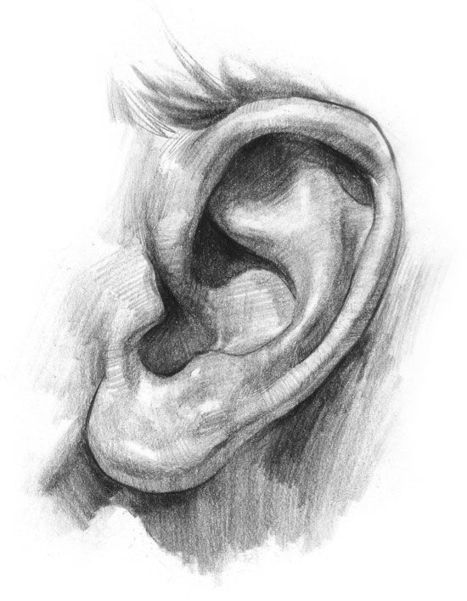Ear Drawing Reference | Drawing References and Resources | Scoop.it