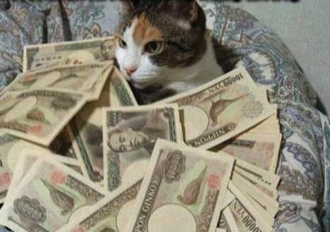 ca$hcats.biz | Lolcats | Scoop.it