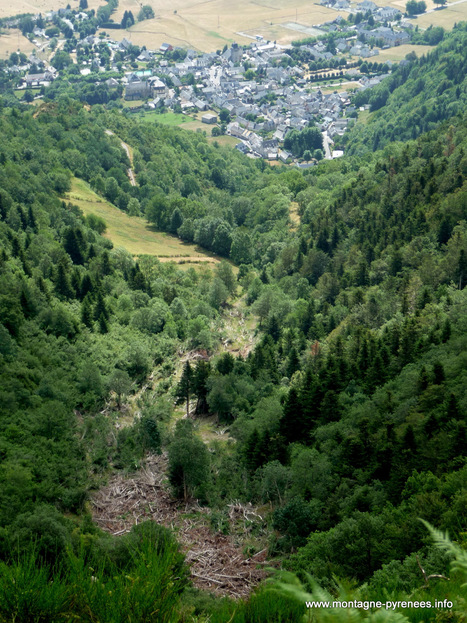 Urbanisme en montagne et avalanches : Ségolène Royal valide les zones "jaunes" | Vallées d'Aure & Louron - Pyrénées | Scoop.it