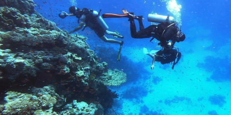 NOAA warns world's coral on verge of 'worst bleaching event in history of the planet' - Raw Story | Agents of Behemoth | Scoop.it