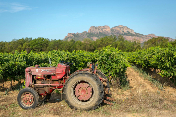 Agriculture et Tourisme | Thématique Gastronomie et Oeno | Scoop.it