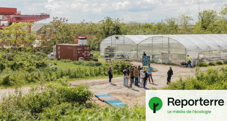 Près de Paris, des fleurs et du compost pour dépolluer les sols | Vers la transition des territoires ! | Scoop.it