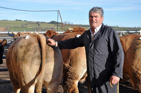 Jean-Paul Boyer, négociant en bovins : "Un prix résulte d’une confrontation entre offre et demande" | Actualité Bétail | Scoop.it