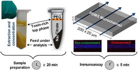 Sample Preparation With Aqueous Two-Phase Systems for On-site Immunodetection of Mycotoxins | iBB | Scoop.it