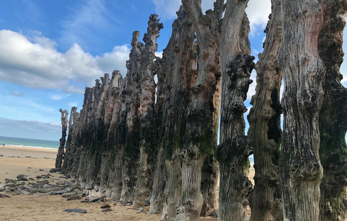 Saint-Malo : « C’est très compliqué »… Les anciens brise-lames restent plantés dans ce lieu secret | Découvrir, se former et faire | Scoop.it