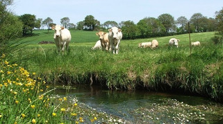 Région Bretagne - Les nouveaux contrats nature « trame verte et bleue » | Veille territoriale AURH | Scoop.it