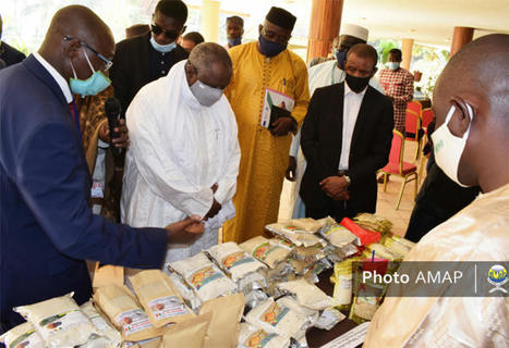 MALI: Système de riziculture intensive : Une technique pour accroître la production du riz | SRI Global News: February - April 2024 **sririce -- System of Rice Intensification | Scoop.it