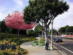 Sepulveda sidewalks get a new look | 90045 Trending | Scoop.it