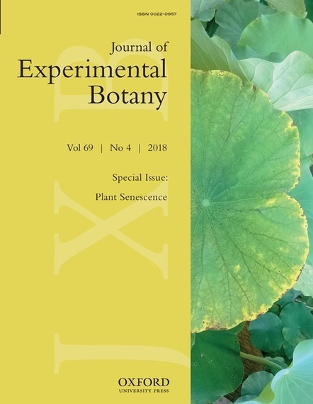 Stress-induced senescence and plant tolerance to abiotic stress | Plant & environmental stress | Scoop.it