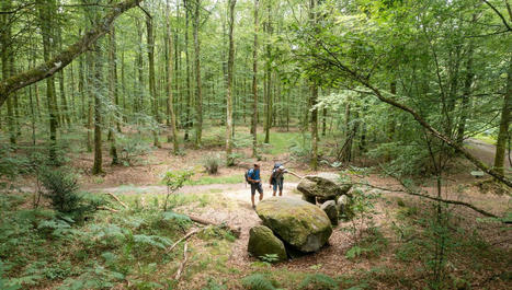 INFO FRANCE BLEU Le GR® 37 - Cœur de Bretagne élu GR® préféré des Français 2024 - France Bleu | Tourisme de randonnées                                                                                                                                                                                 & Sports de nature pour les pros | Scoop.it