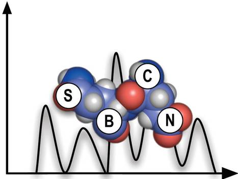 BERG Research Presented at SBCN 2021 | iBB | Scoop.it