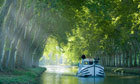 News: French to say au revoir to canalside trees | Plants and Microbes | Scoop.it