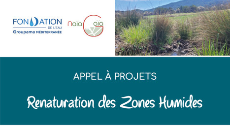 Appel à Projets – Renaturation des Zones Humides | Regards croisés sur la transition écologique | Scoop.it