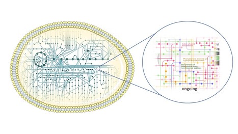 Modeling the Full Metabolism of the Human Pathogen Candida parapsilosis | iBB | Scoop.it