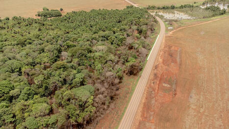 TRADE: Tackling deforestation in the Brazil-China agricultural trade | COMMERCE & LOGISTIQUE | Scoop.it