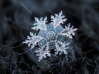 Macro photos of snowflakes show impossibly perfect designs | Mobile Photography | Scoop.it