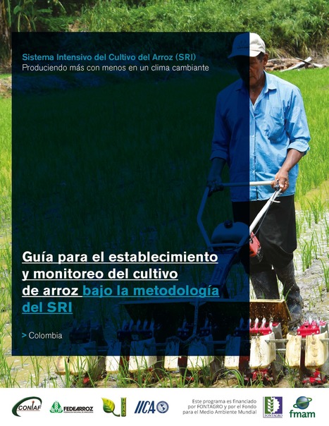 COLOMBIA: Sistema Intensivo del Cultivo del Arroz (SRI) Produciendo más con menos en un clima cambiante | SRI Global News: February - April 2024 **sririce -- System of Rice Intensification | Scoop.it