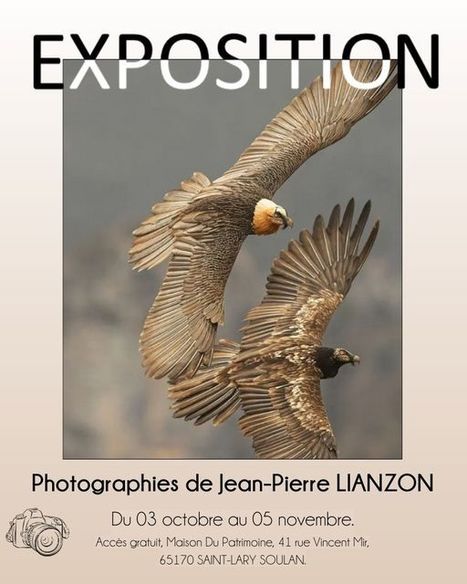 Exposition de photos animalières à Saint-Lary Soulan jusqu'au 5 novembre | Vallées d'Aure & Louron - Pyrénées | Scoop.it